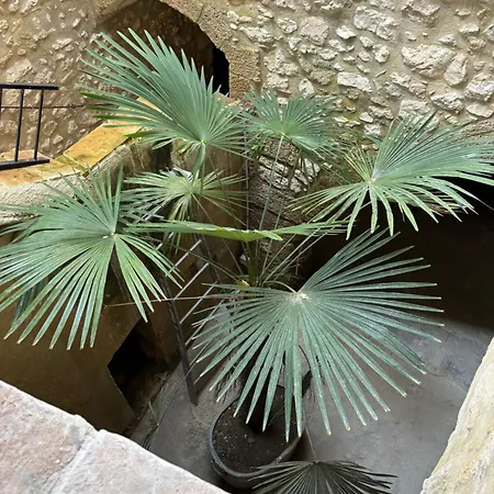 Au Coeur De *